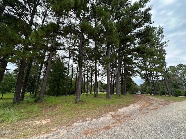 83 Lingle Road Columbia, MS 39429 - Photo 13 of 16 front/road