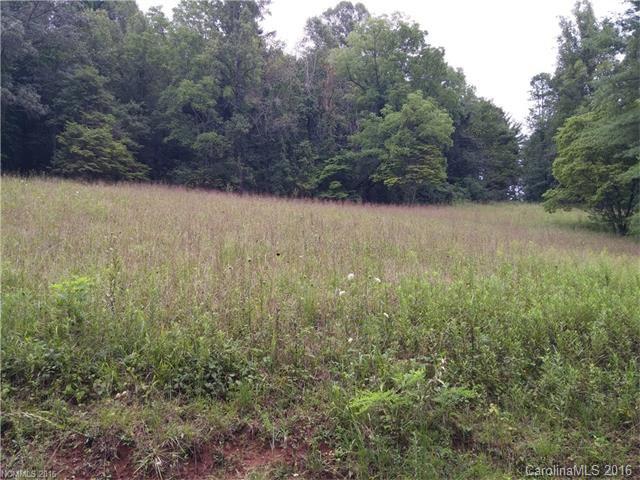 2010 Sandy Mush Road Marshall, NC 28753 - Photo 11 of 14 Gallery Image 11