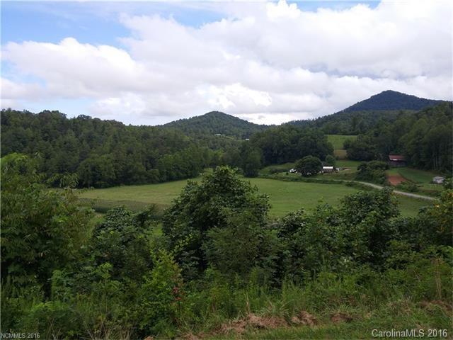 2010 Sandy Mush Road Marshall, NC 28753 - Photo 4 of 14 Gallery Image 4