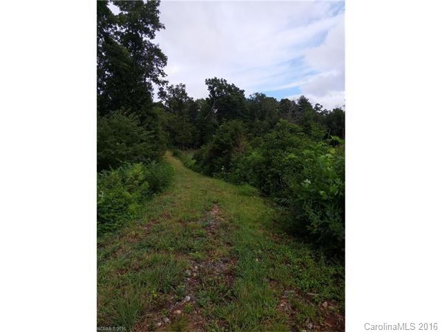 2010 Sandy Mush Road Marshall, NC 28753 - Photo 6 of 14 Gallery Image 6