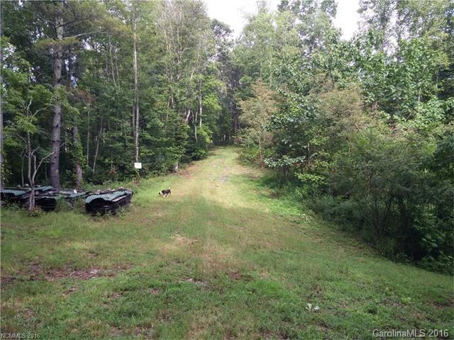 2010 Sandy Mush Road Marshall, NC 28753 - Photo 8 of 14 Gallery Image 8