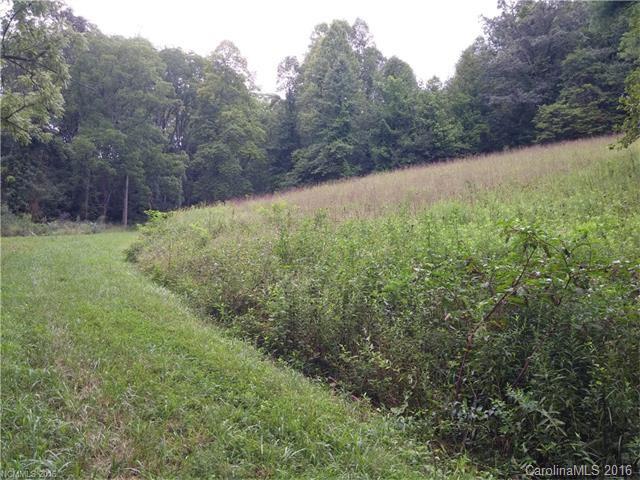 2010 Sandy Mush Road Marshall, NC 28753 - Photo 10 of 14 Gallery Image 10