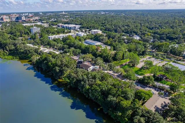 an aerial view of green landscape with trees houses and lake view