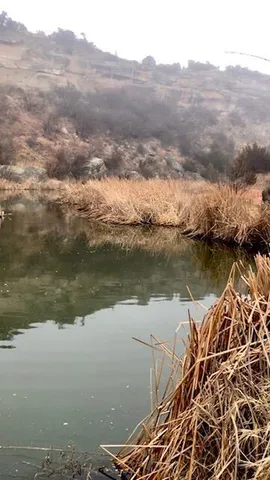 $80,000 | 12570 Montana Way, Amarillo, TX 79118