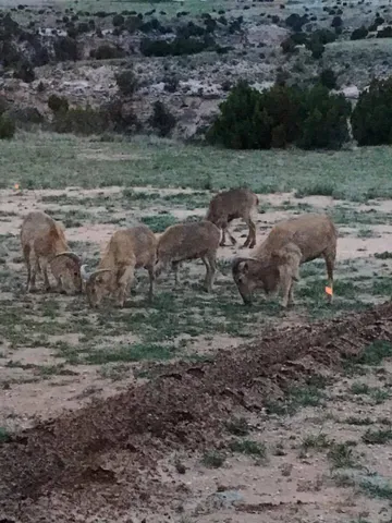 $80,000 | 12570 Montana Way, Amarillo, TX 79118