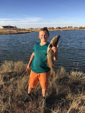 $80,000 | 12570 Montana Way, Amarillo, TX 79118