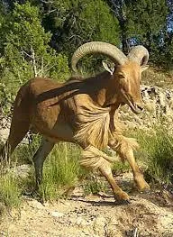 $80,000 | 12570 Montana Way, Amarillo, TX 79118