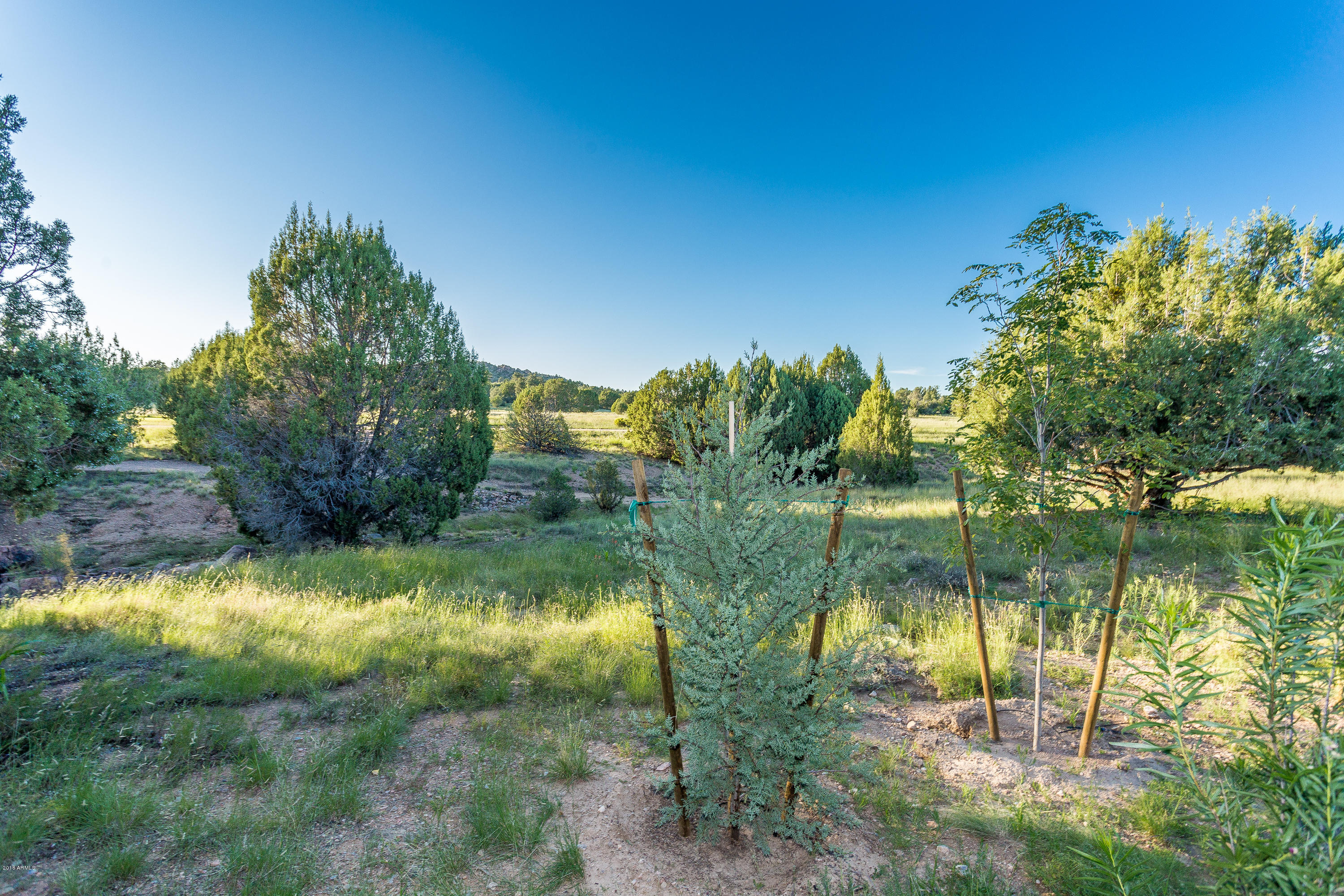 11940 6 Shooter Road Prescott, AZ 86305 - Photo 29 of 63 032_Backyard