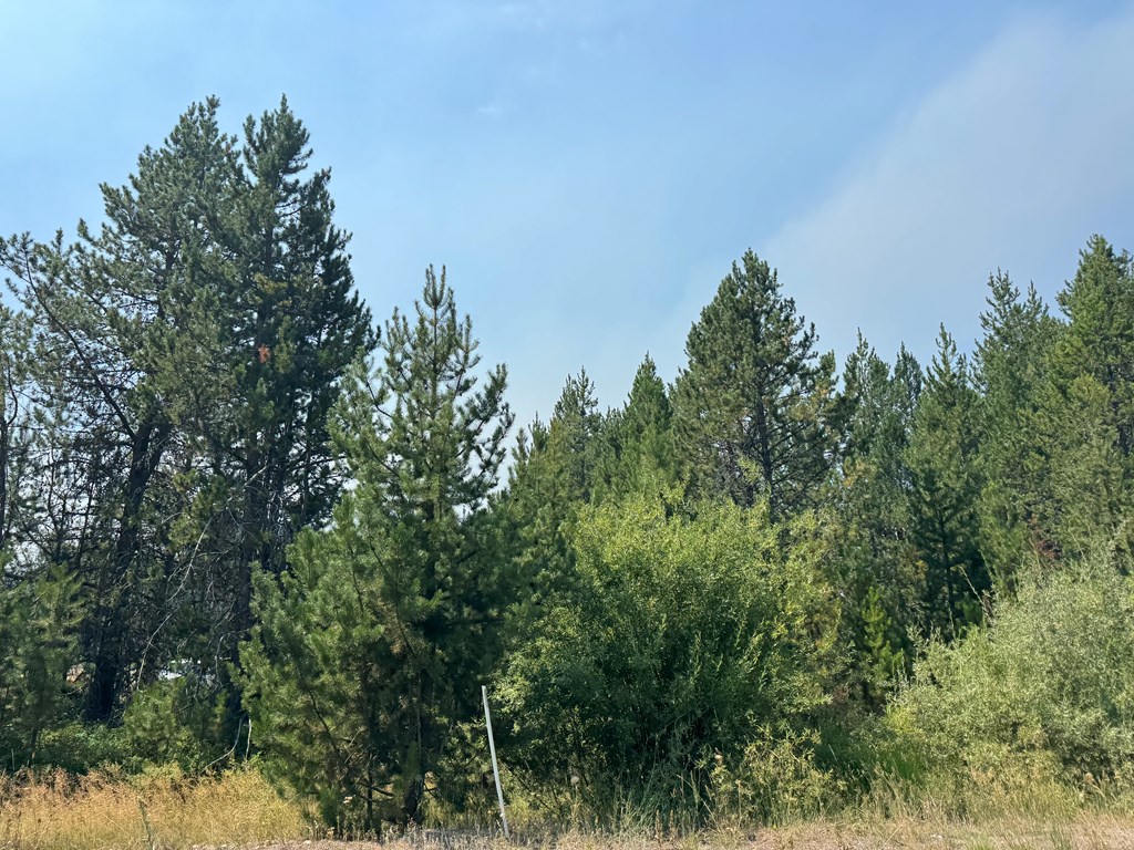 12937 Spring Valley Road, Unit 35 Donnelly, ID 83615 - Photo 2 of 10