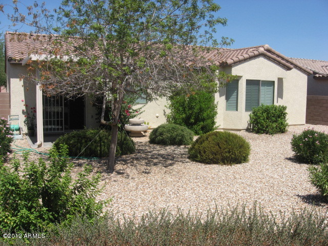 16655 West Rincon Peak Drive Surprise, AZ 85387 - Photo 6 of 8 rincon 803 023