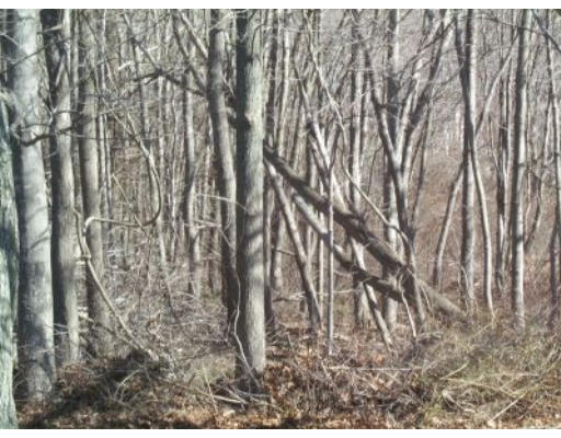 Lot 1 Lang Road Freetown, MA 02717 - Photo 1 of 1 Gallery Image 1