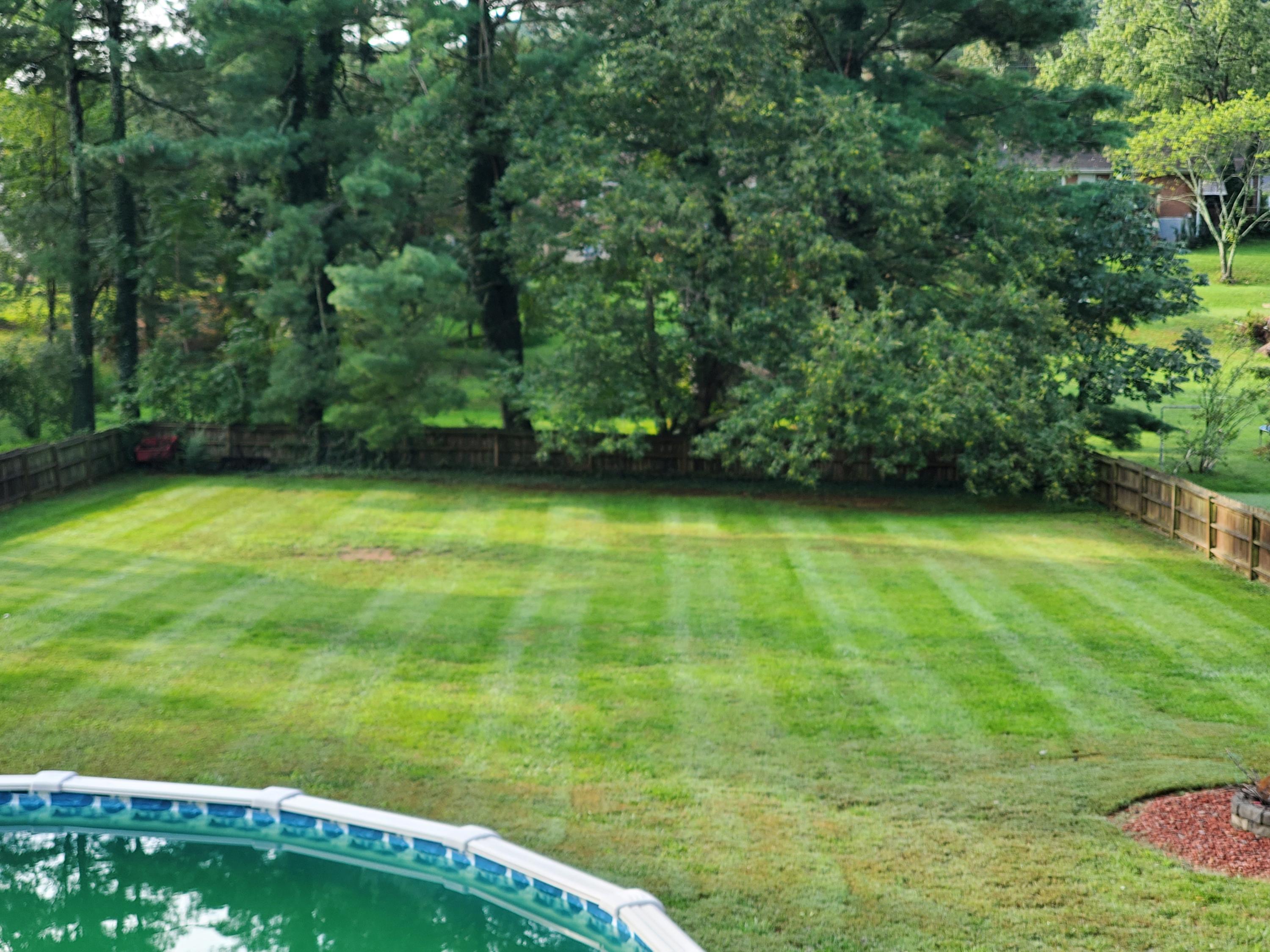 5308 Grandin Rd Extension Roanoke, VA 24018 - Photo 29 of 30 Backyard