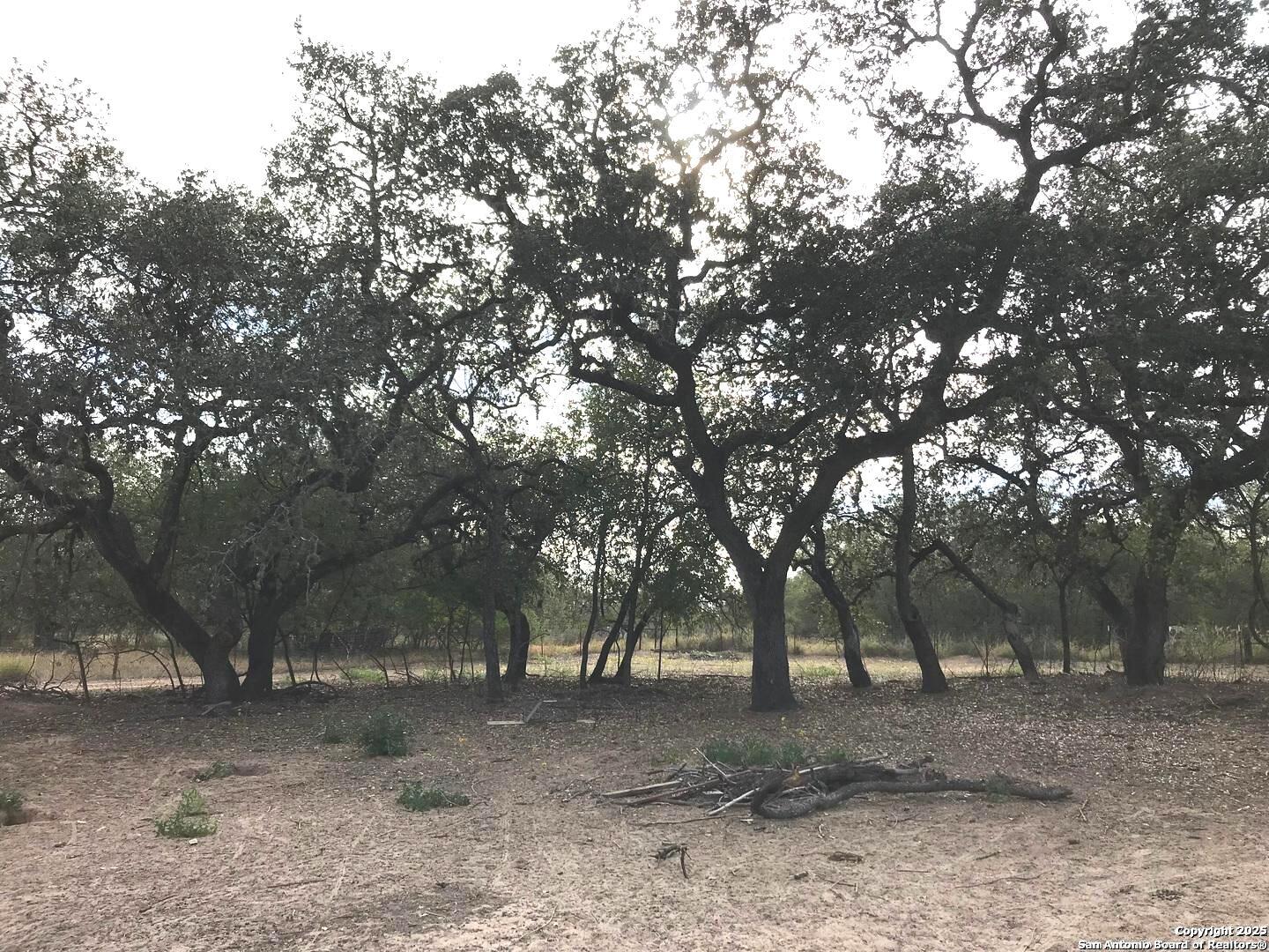 1211 Devine Drive Devine, TX 78016 - Photo 21 of 29