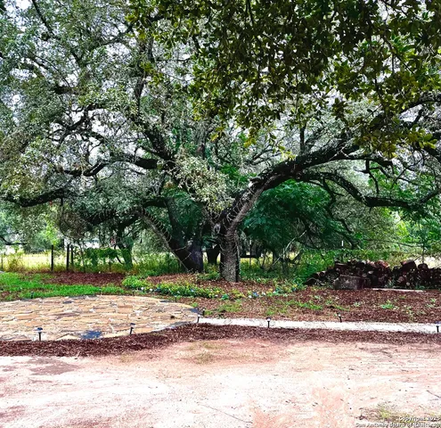a view of backyard with green space