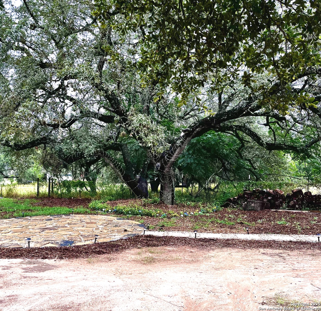 1211 Devine Drive Devine, TX 78016 - Photo 23 of 29