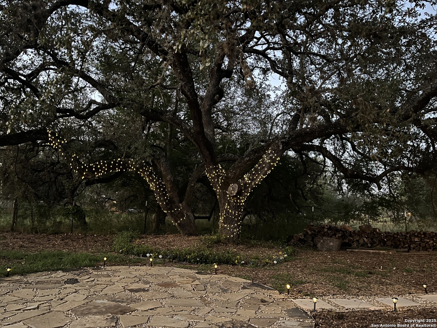 1211 Devine Drive Devine, TX 78016 - Photo 24 of 29