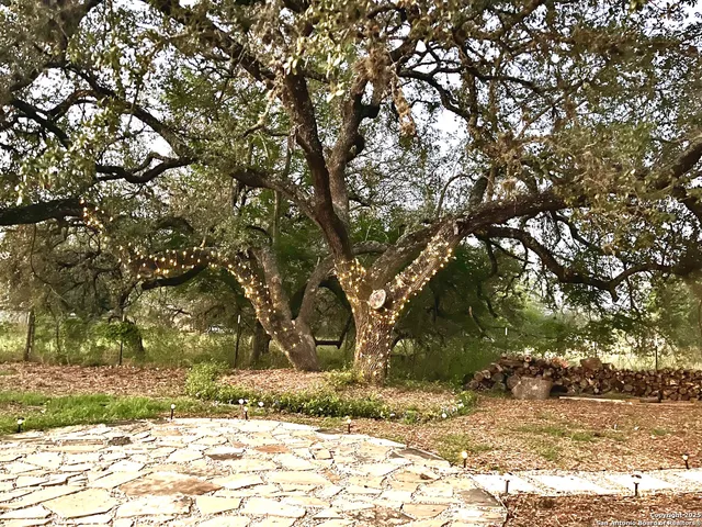 a view of outdoor space and yard