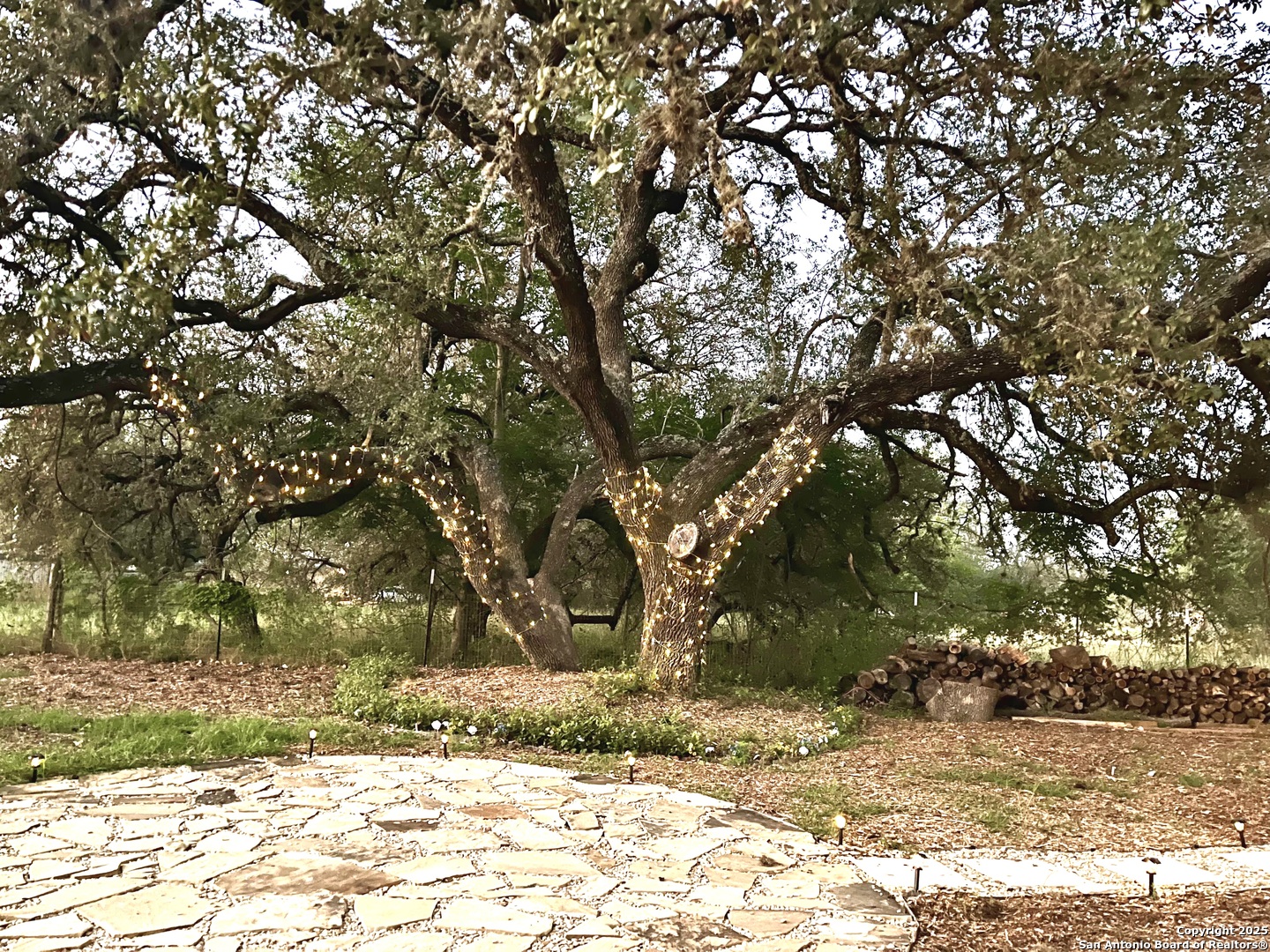 1211 Devine Drive Devine, TX 78016 - Photo 27 of 29