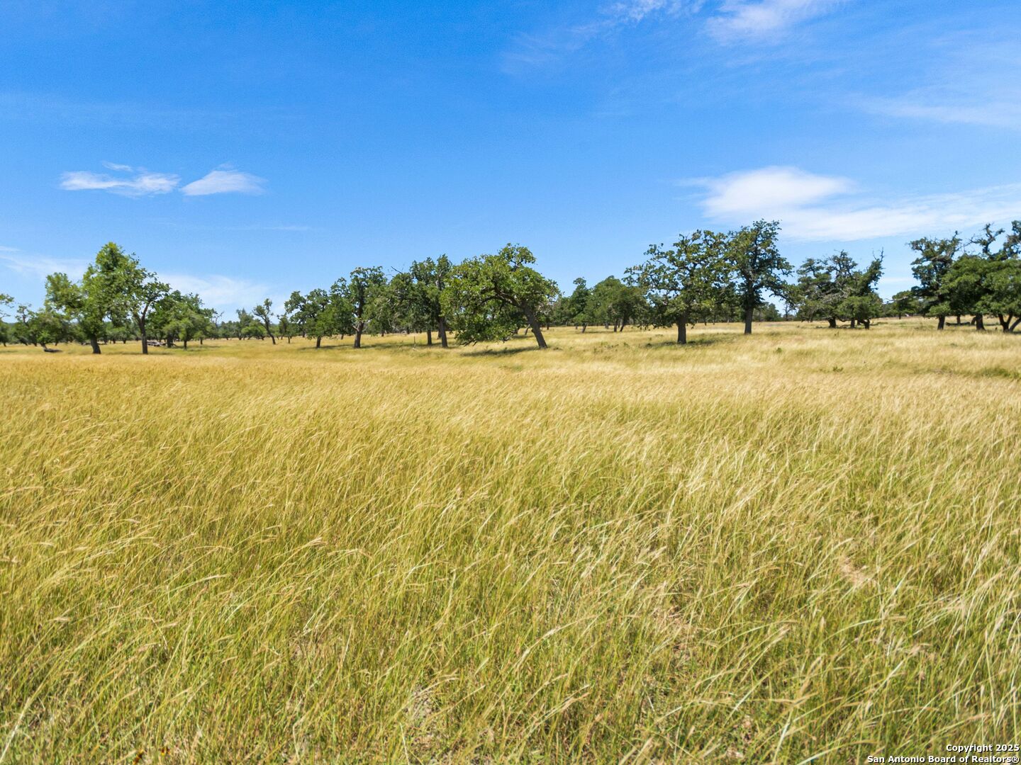 4369 Reeh-Weinheimer Road Fredericksburg, TX 78624 - Photo 71 of 80