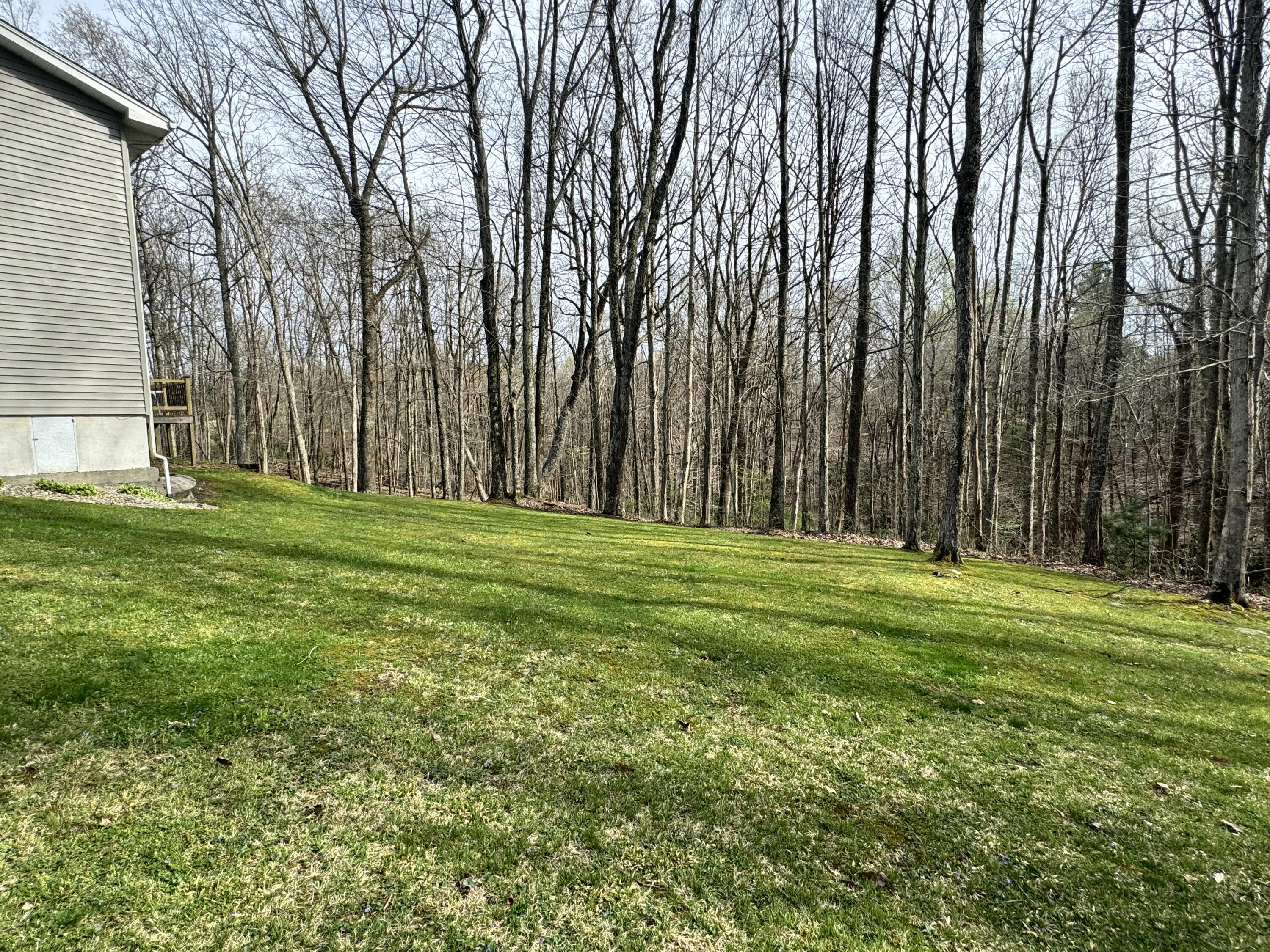 95 Rusty Road Nettie, WV 26681 - Photo 44 of 60 Gallery Image 44