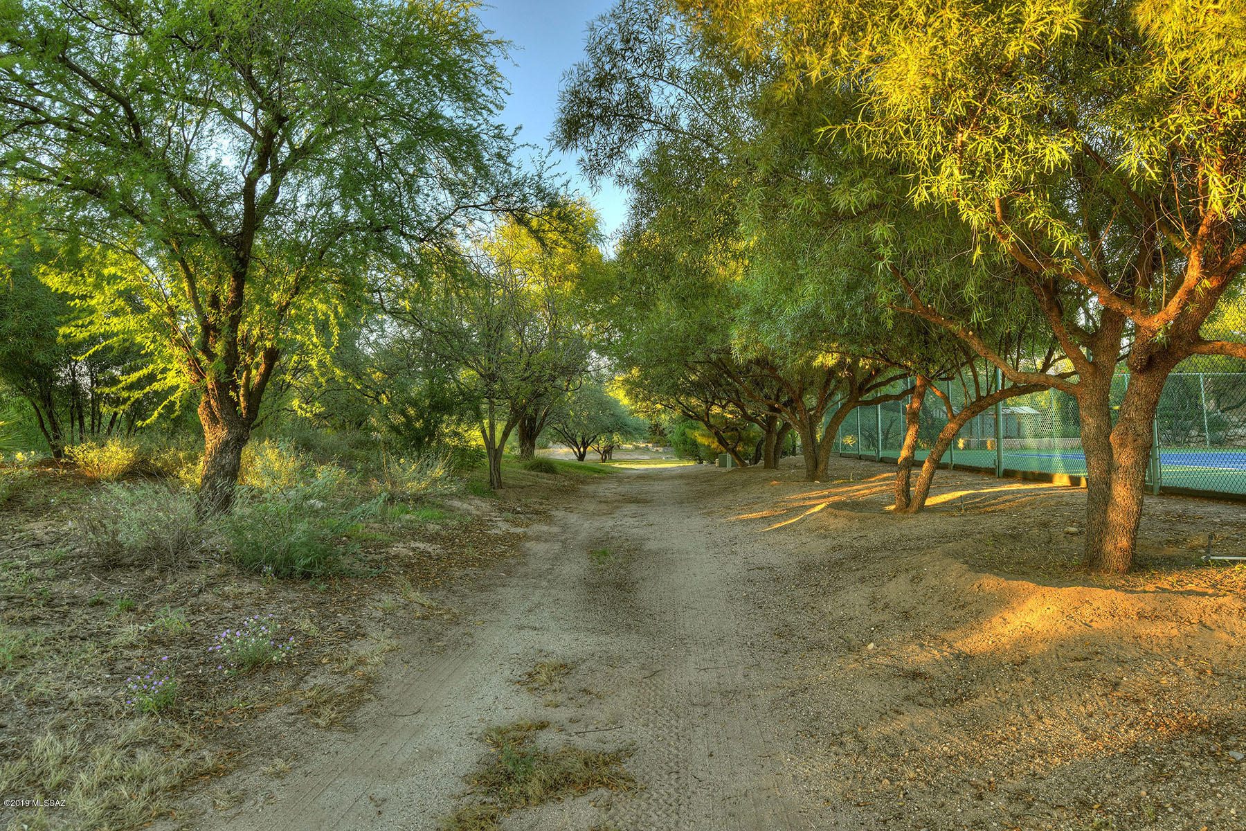 8000 East Alvin Road Tucson, AZ 85750 - Photo 39 of 45