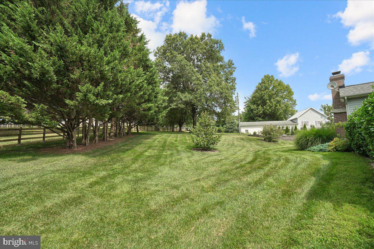 28620 Clarksburg Road Damascus, MD 20872 - Photo 58 of 79 Side Yard View
