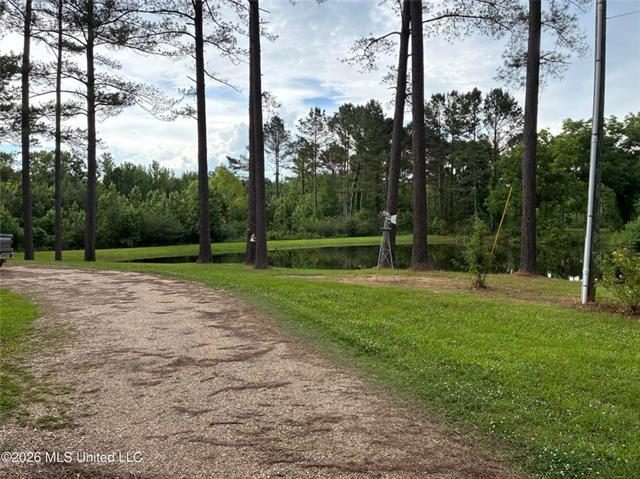 367 44th Highway Jayess, MS 39641 - Photo 31 of 38