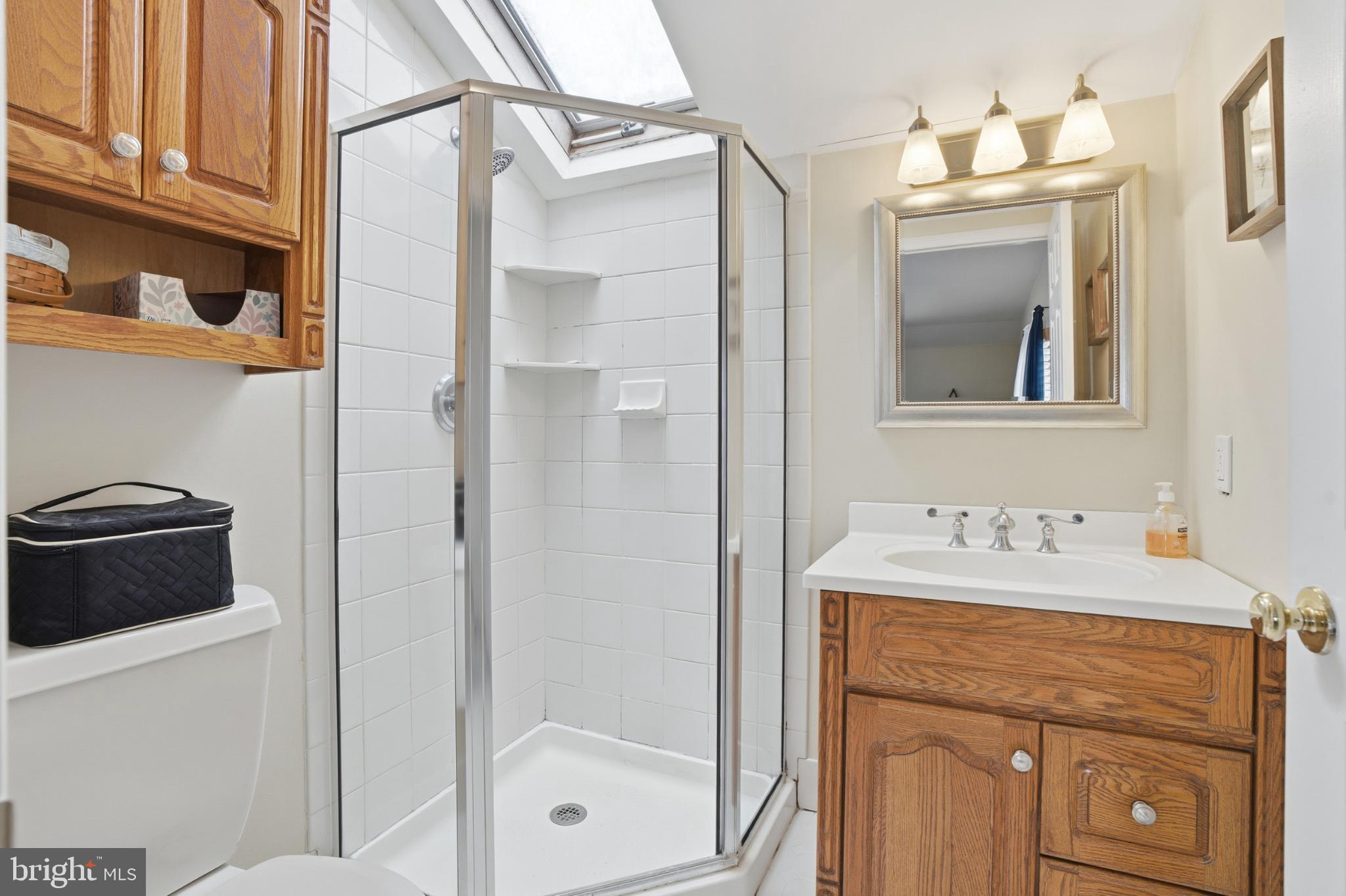 301 North 3rd Street Telford, PA 18969 - Photo 23 of 47 en-suite bath for main bedroom