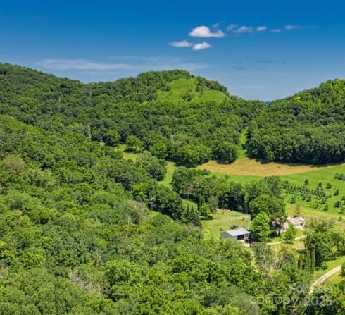 348 Copperhead Cove Road Sylva, NC 28779 - Photo 1 of 1 Gallery Image 1
