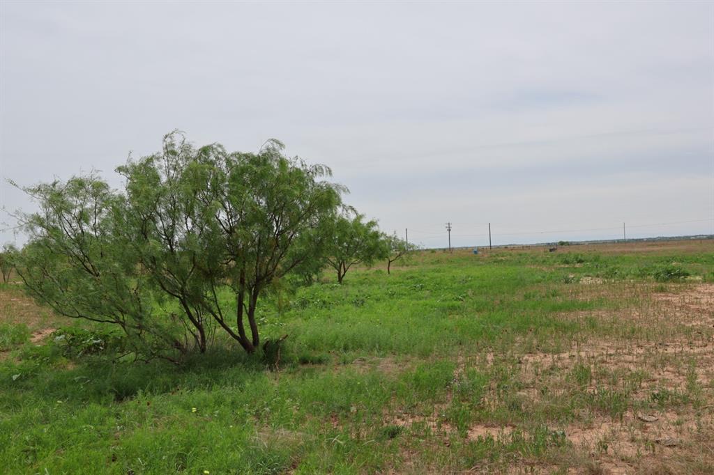13558 County Road 440 Merkel, TX 79536 - Photo 2 of 4