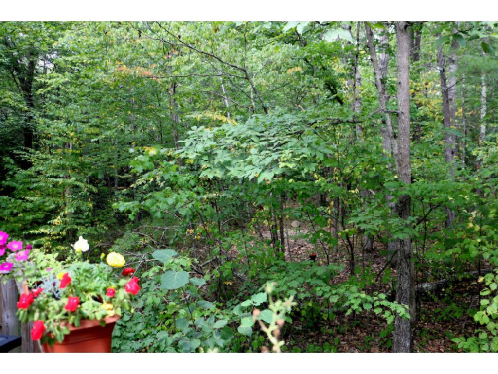 62 Wash Pond Road Hampstead, NH 03841 - Photo 17 of 28