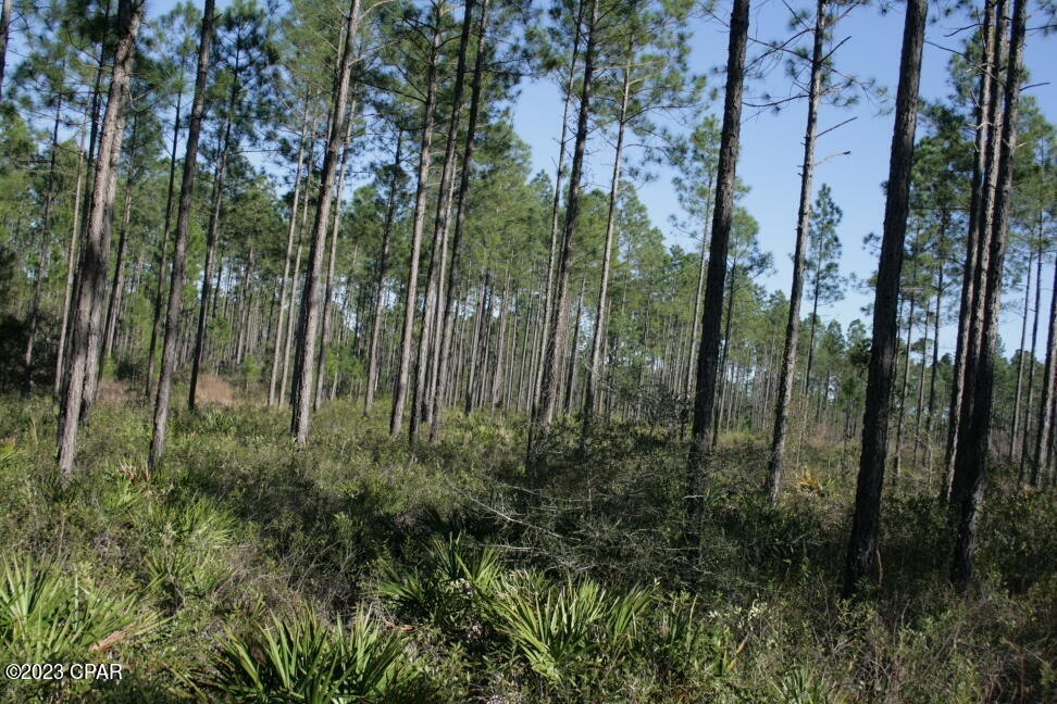 19732 Timbercrest Road Fountain, FL 32438 - Photo 31 of 40