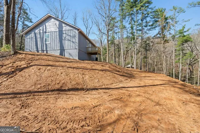 a view of backyard with a garden and trees