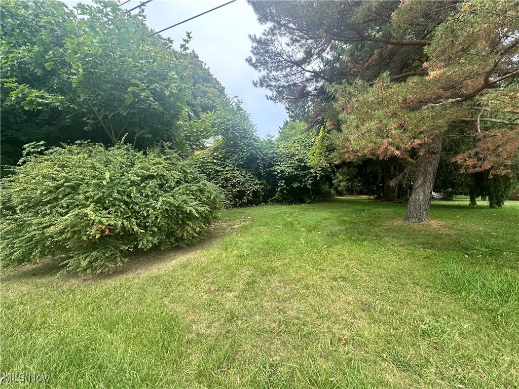 4623 Davis Road Perry, OH 44081 - Photo 5 of 7 View of yard