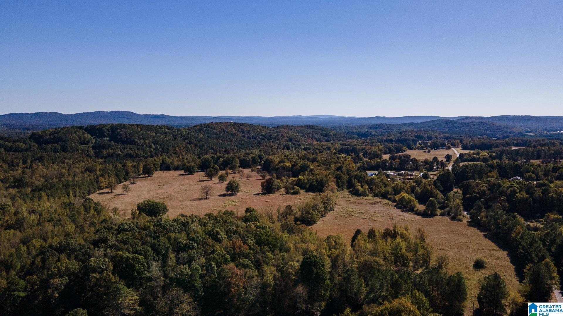 Crawford Cove Road Springville, AL 35146 - Photo 11 of 11 Gallery Image 11