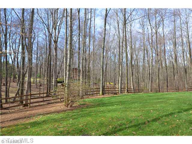 4903 Golden Oaks Drive Oak Ridge, NC 27310 - Photo 3 of 15 Yard/Garden. Back yard