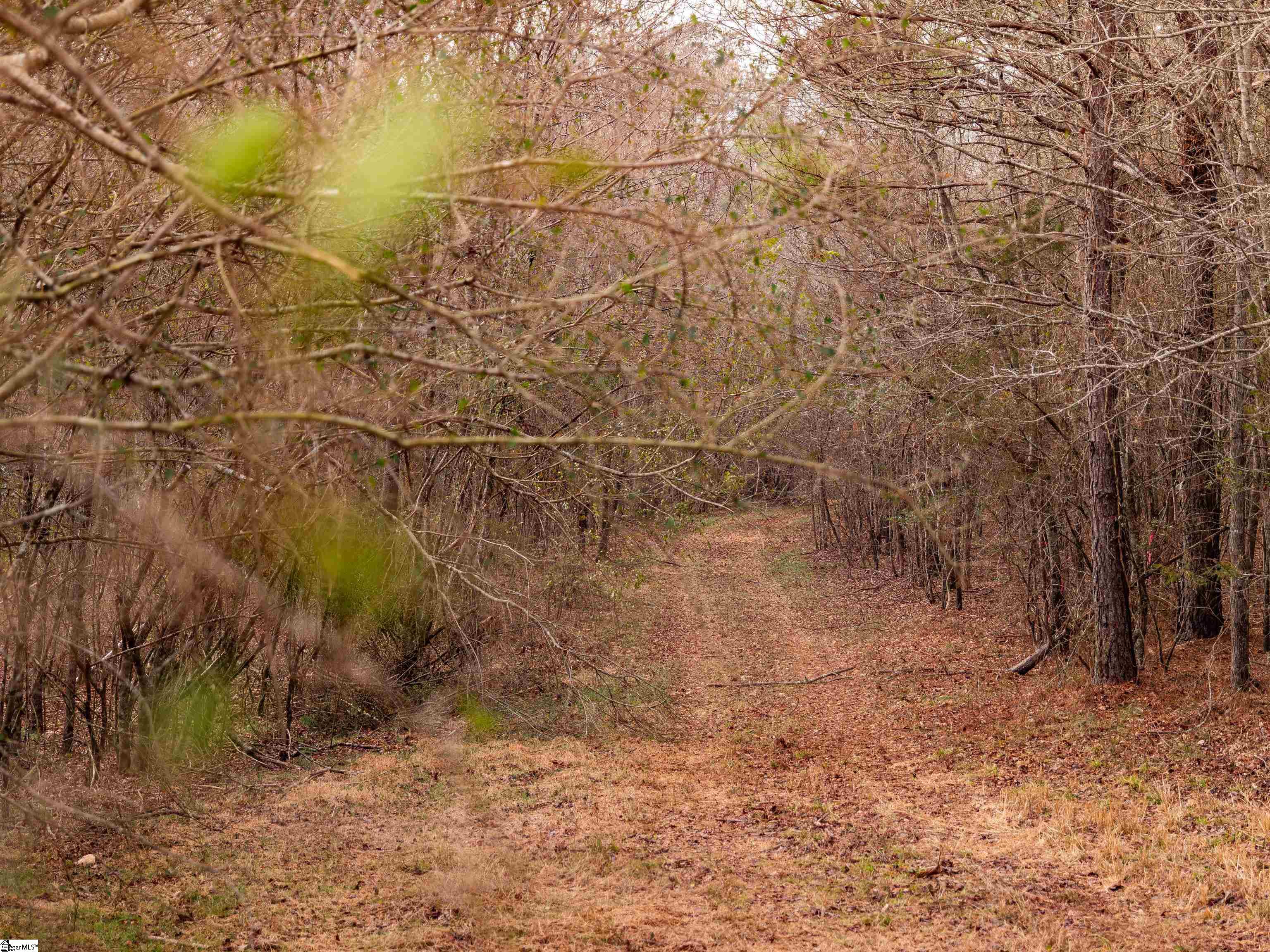 13 Mill Pine Road Liberty, SC 29657 - Photo 14 of 22