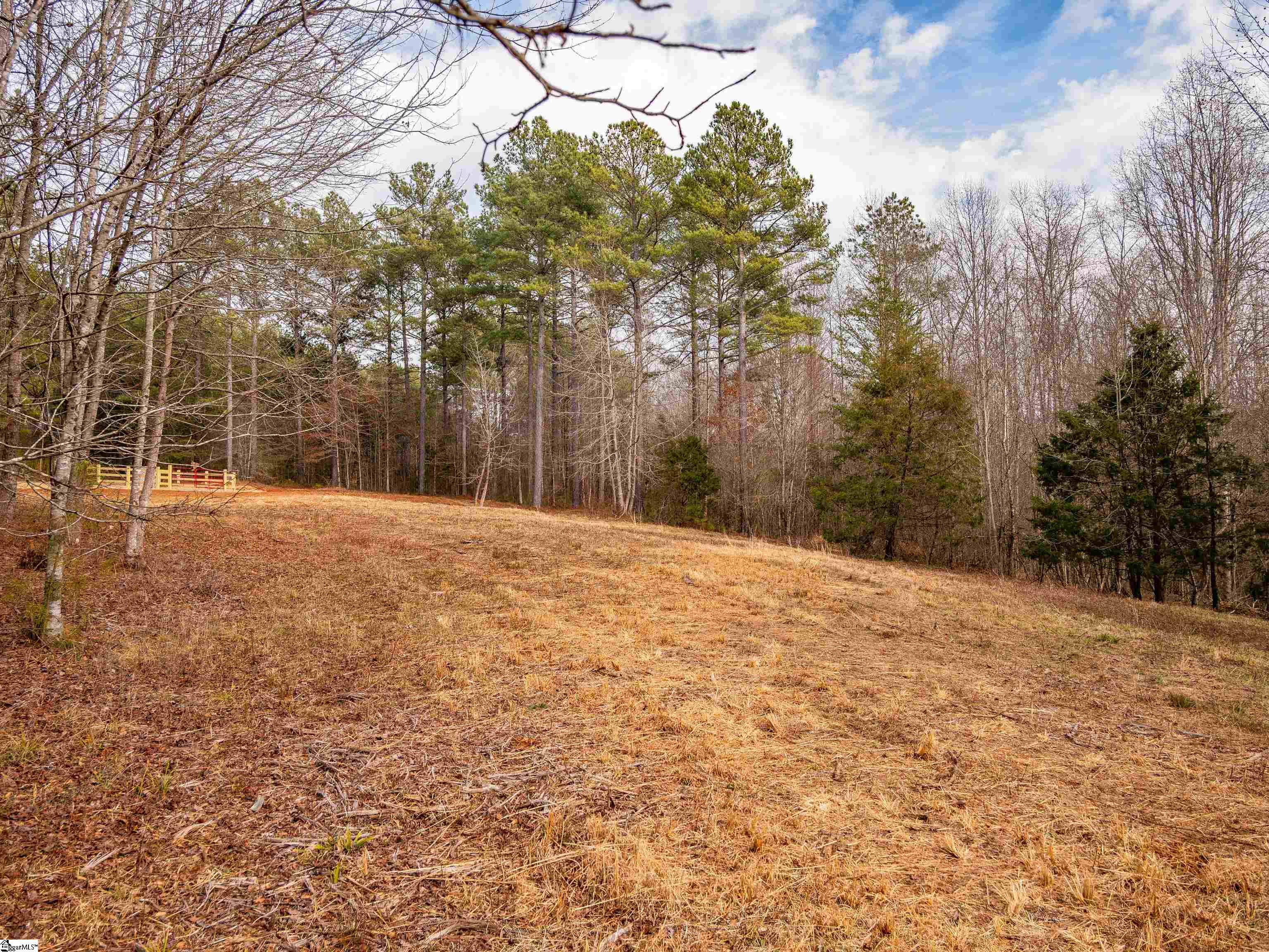 13 Mill Pine Road Liberty, SC 29657 - Photo 16 of 22