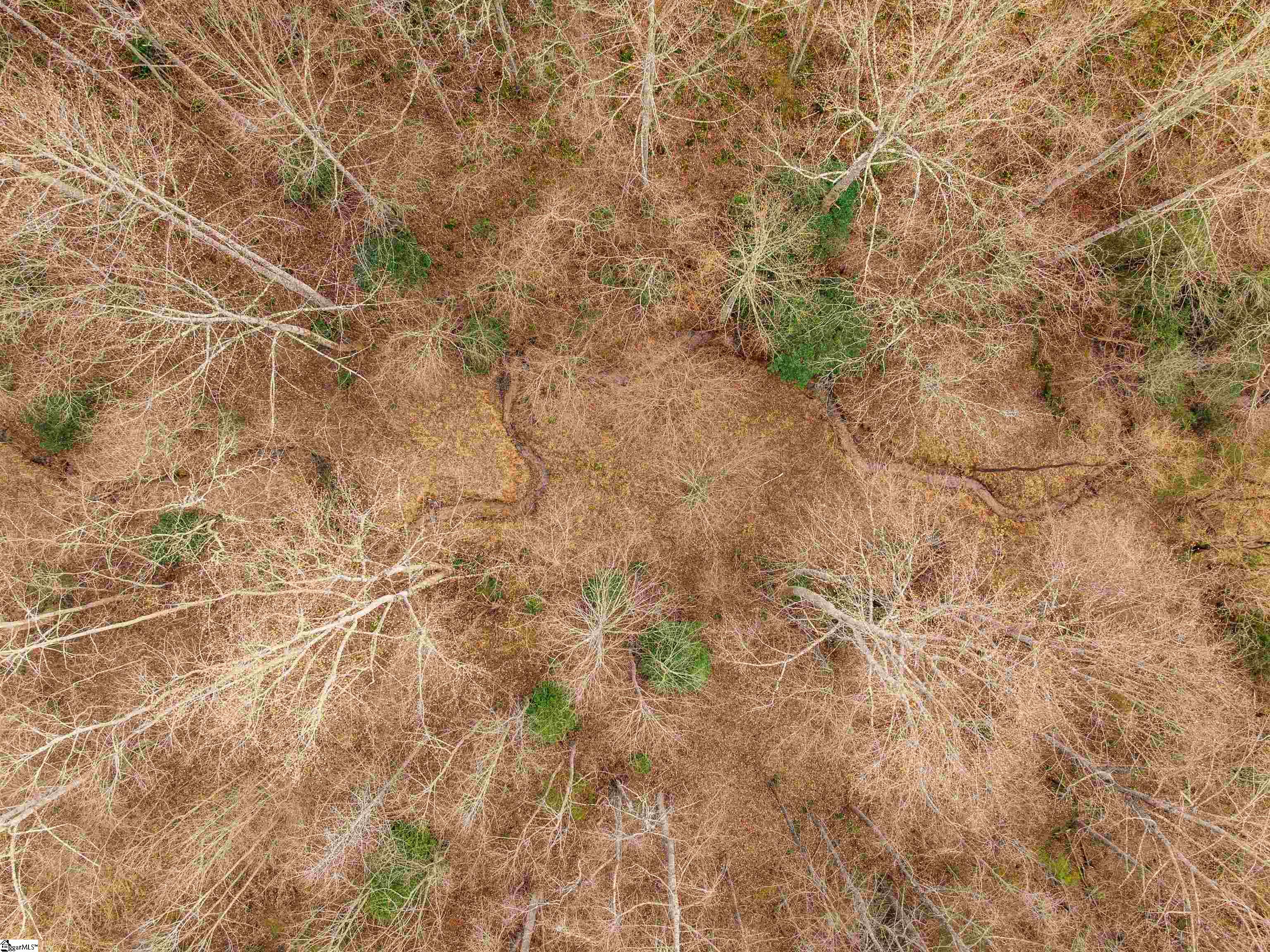 13 Mill Pine Road Liberty, SC 29657 - Photo 17 of 22