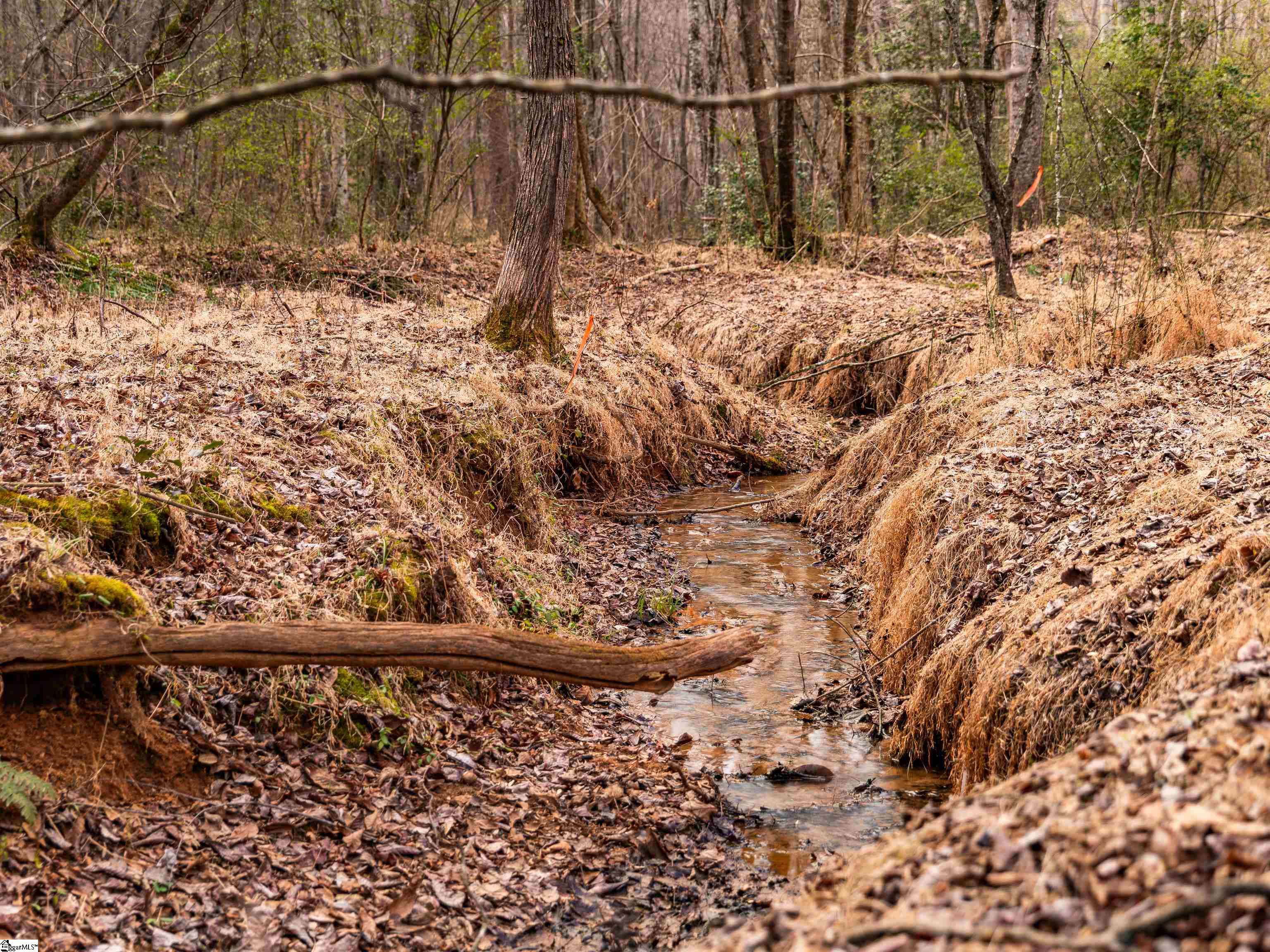 13 Mill Pine Road Liberty, SC 29657 - Photo 2 of 22