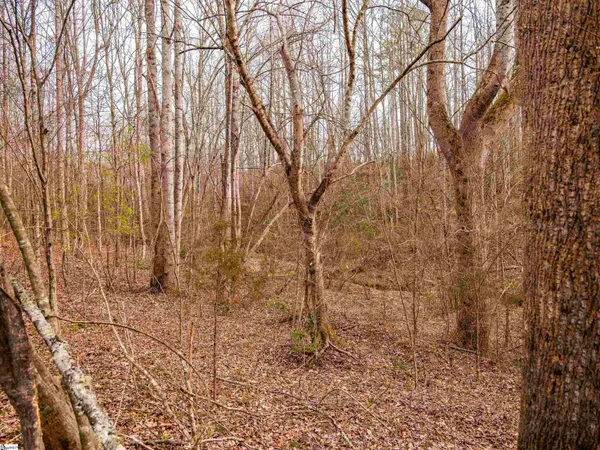 $215,000 | 13 Mill Pine Road, Liberty, SC 29657