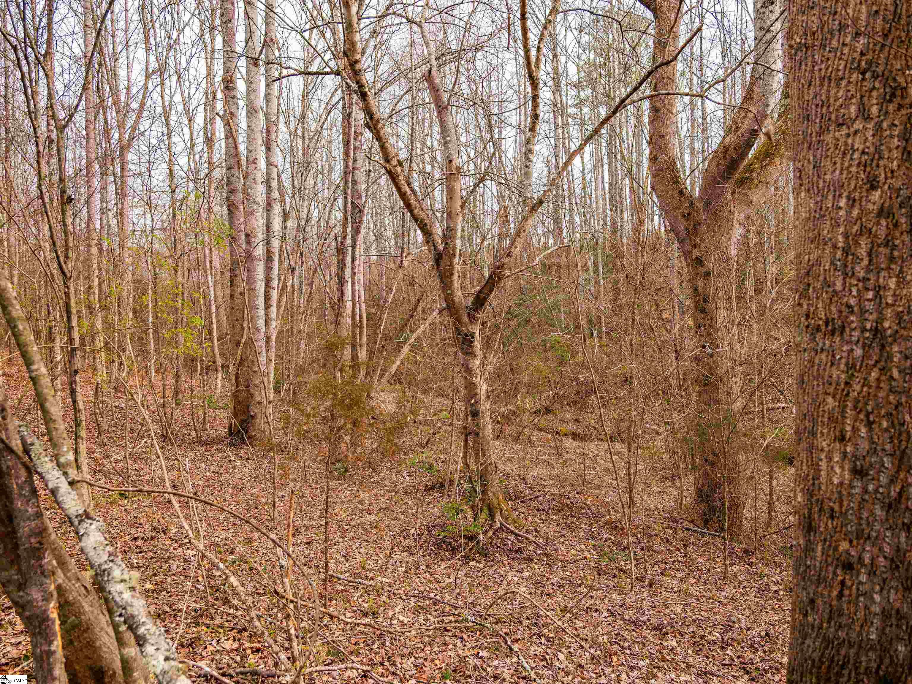 13 Mill Pine Road Liberty, SC 29657 - Photo 22 of 22