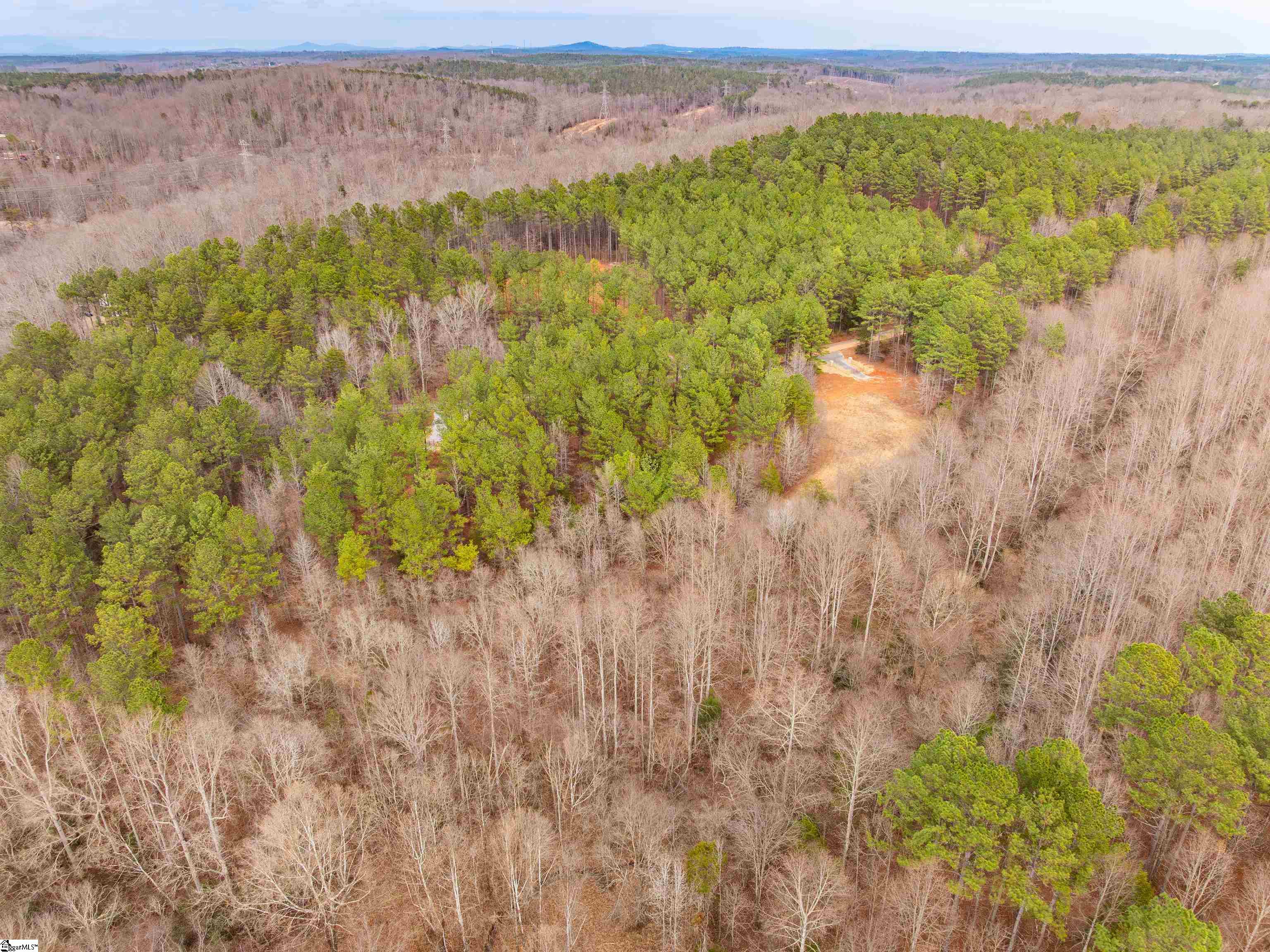 13 Mill Pine Road Liberty, SC 29657 - Photo 3 of 22