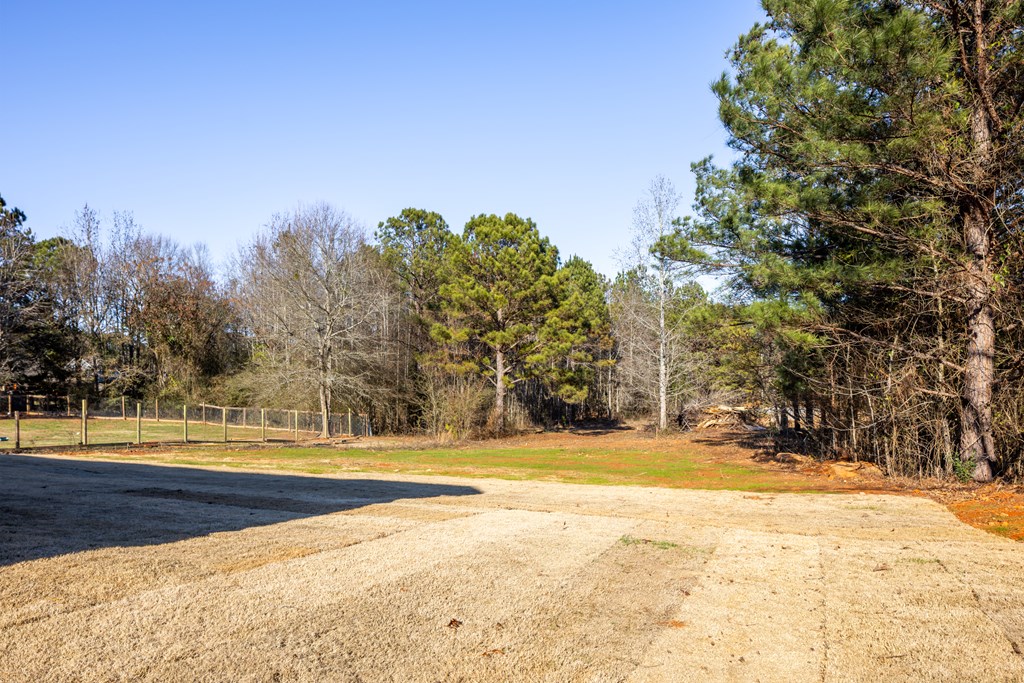163 Lee Road Salem, AL 36874 - Photo 6 of 28 Gallery Image 6