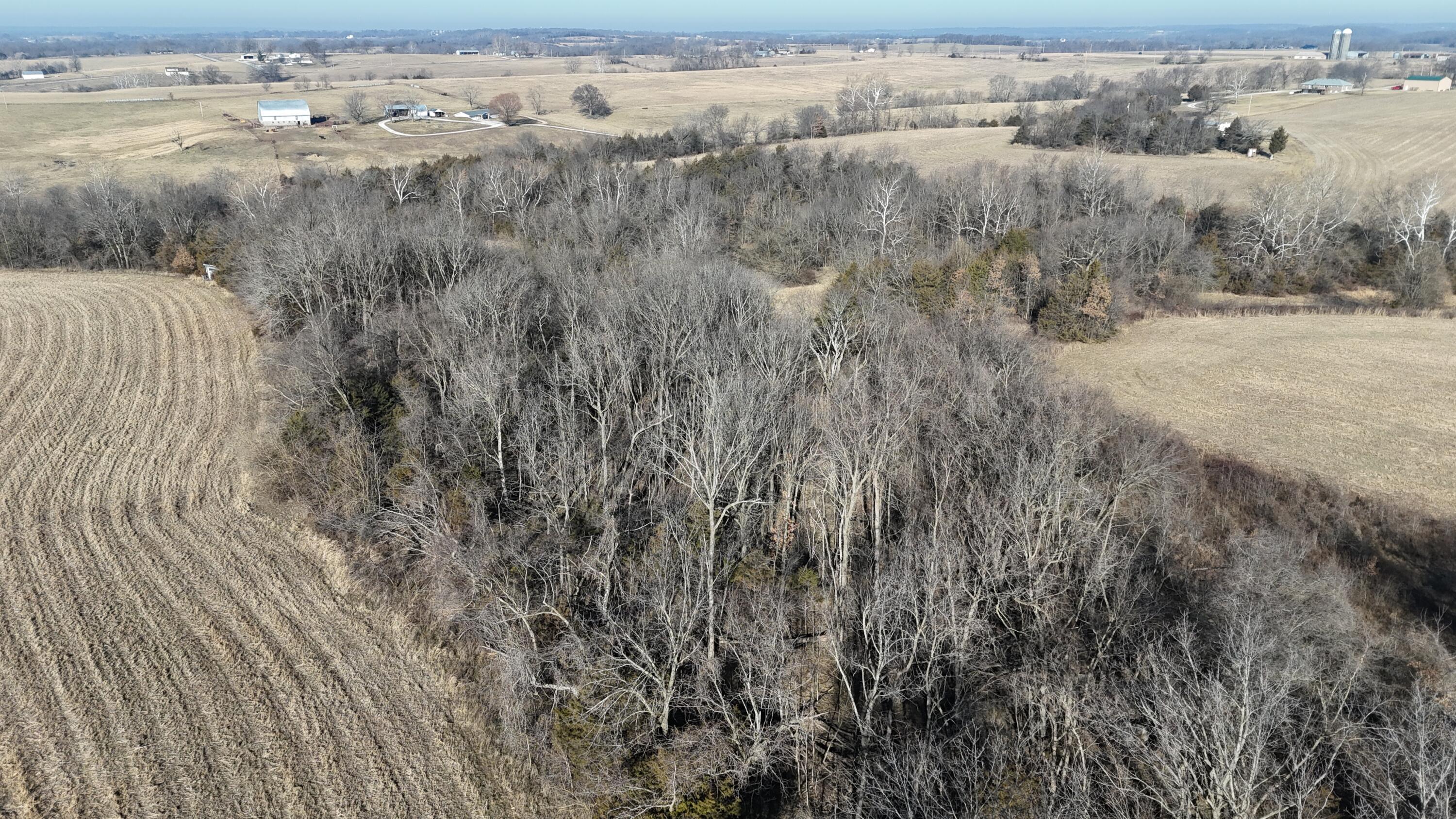 Lot 3 South 140th Road Morrisville, MO 65710 - Photo 10 of 12 DJI_20260209093541_0830_D