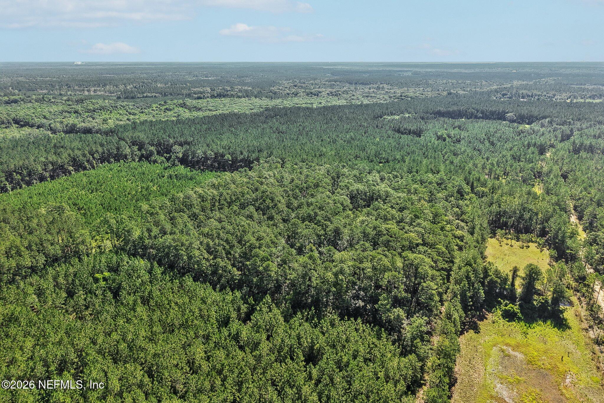 0 Coopers Neck Road Hilliard, FL 32046 - Photo 12 of 15 10-web-or-mls-Coopers Neck Rd-S2506-010