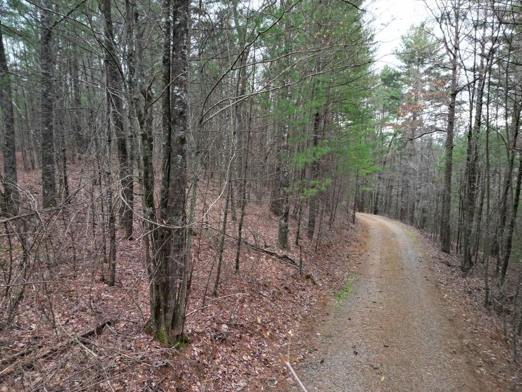 Tbb Grape Creek Road Murphy, NC 28906 - Photo 1 of 7 Main View