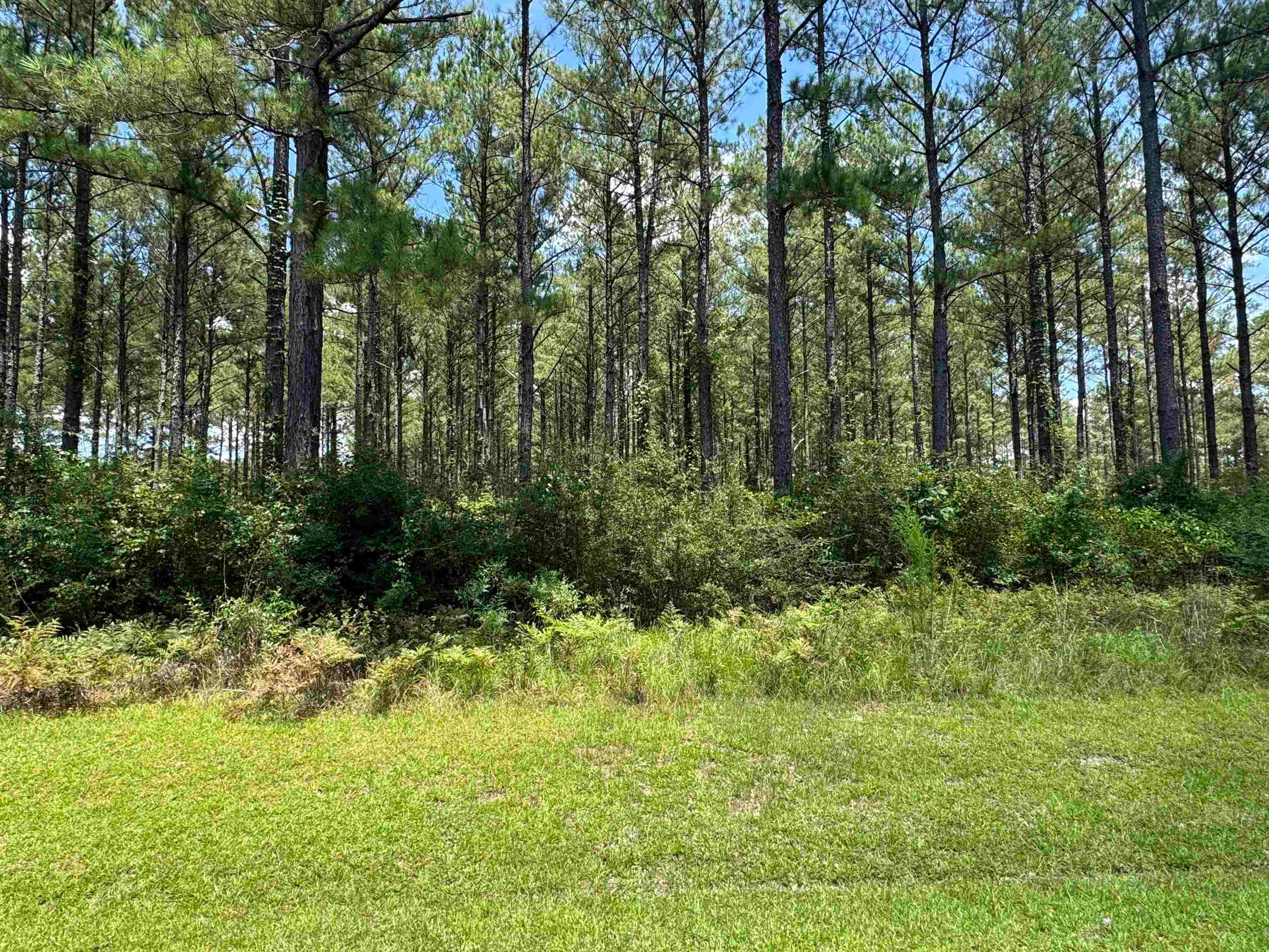 28420 Harbor Road Andalusia, AL 36421 - Photo 5 of 9 Gallery Image 5