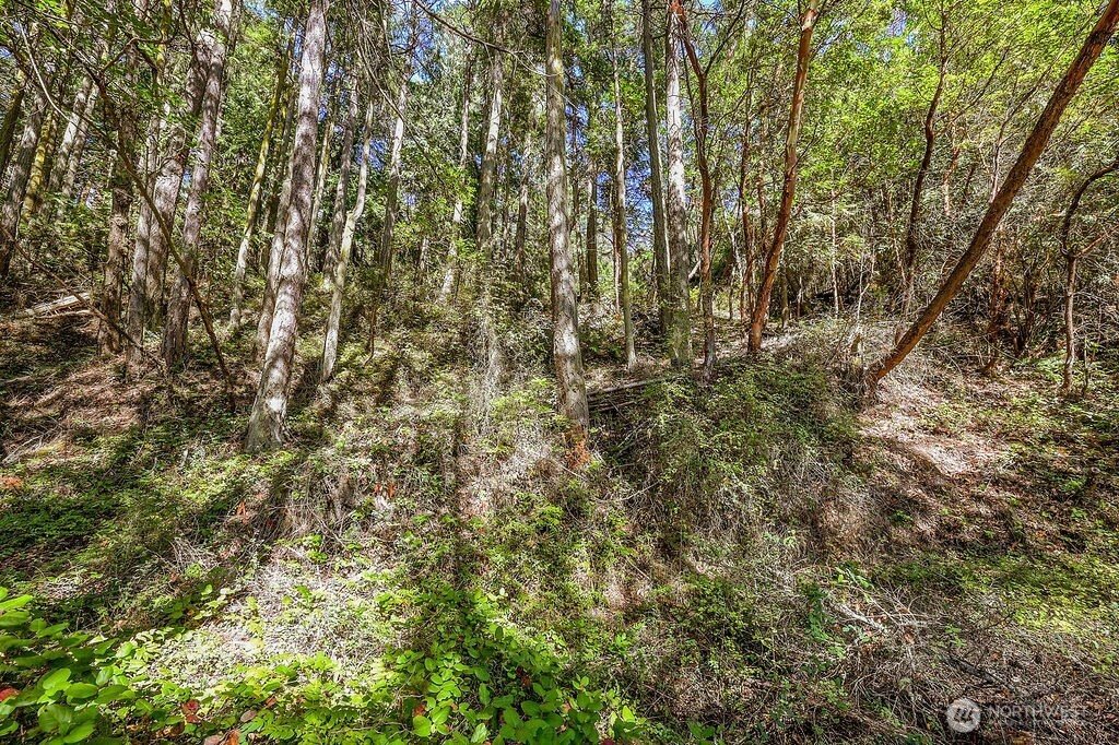6982 Cape George Road Port Townsend, WA 98368 - Photo 28 of 30 Gallery Image 28