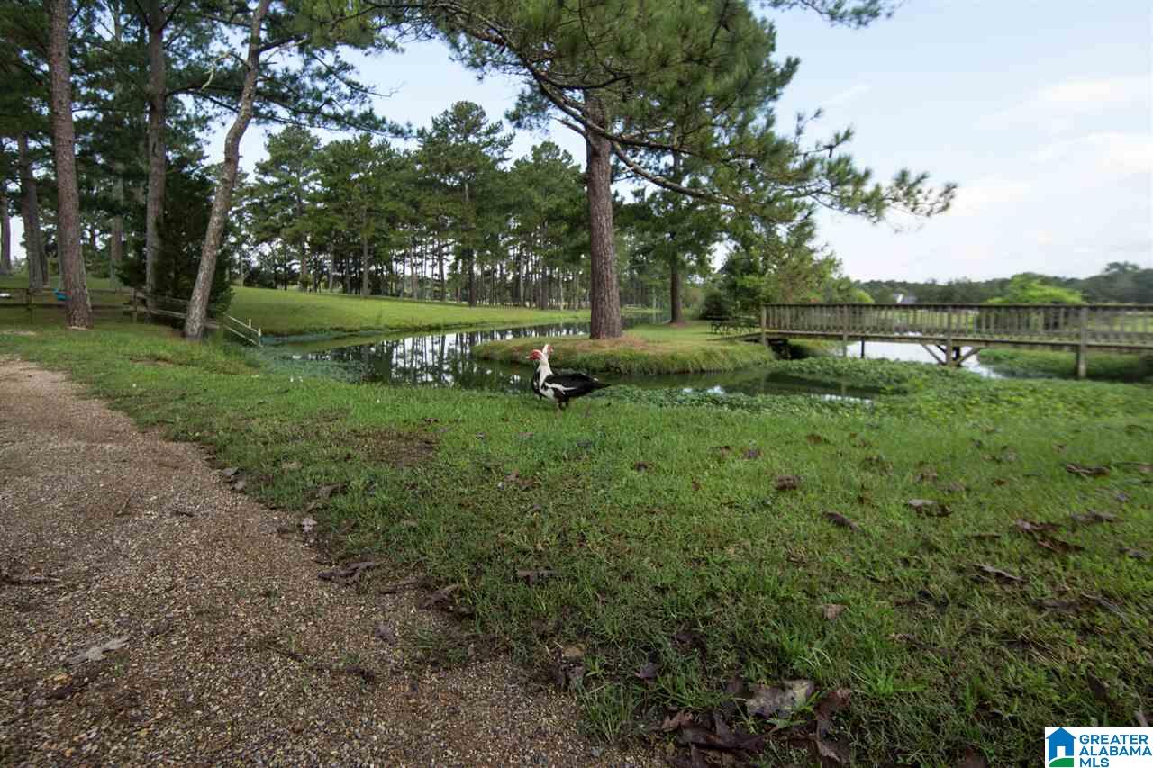 1366 Holland-Finley Road Jacksonville, AL 36265 - Photo 23 of 33